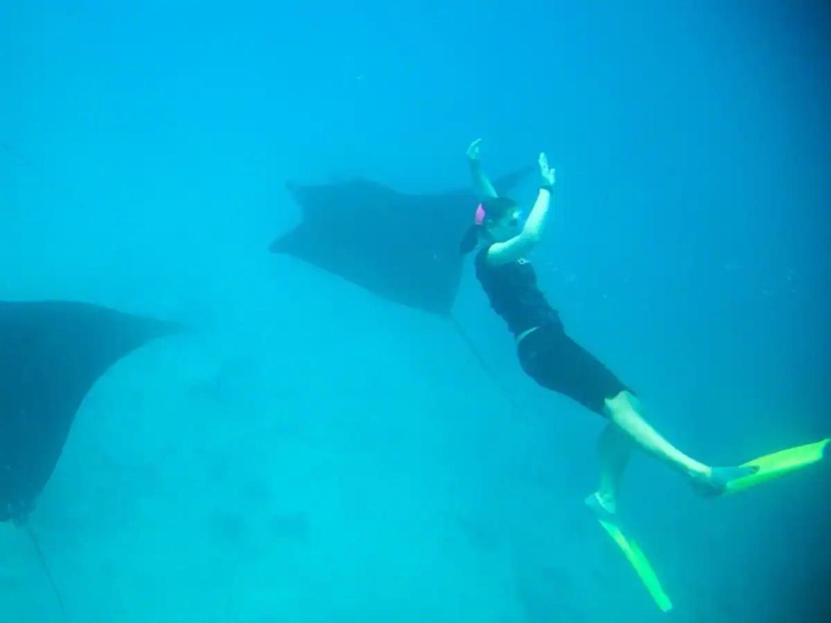 White Sandy Beach-Best Manta Snorkeling Tethi Exteriör bild
