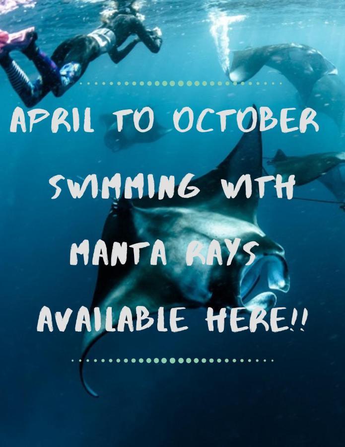 White Sandy Beach-Best Manta Snorkeling Tethi Exteriör bild